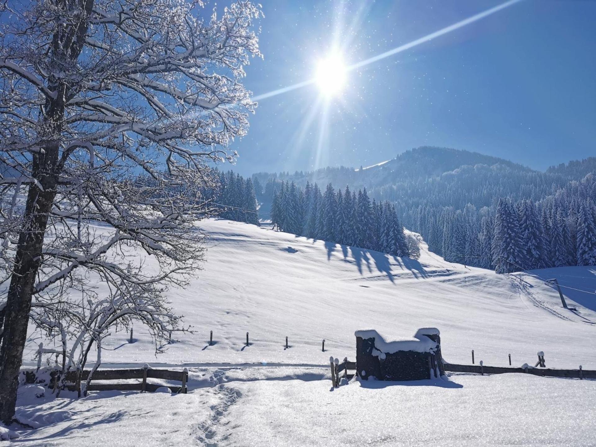 Konstanzer Bergblick Mit Wintergarten Oberstaufen Exterior photo